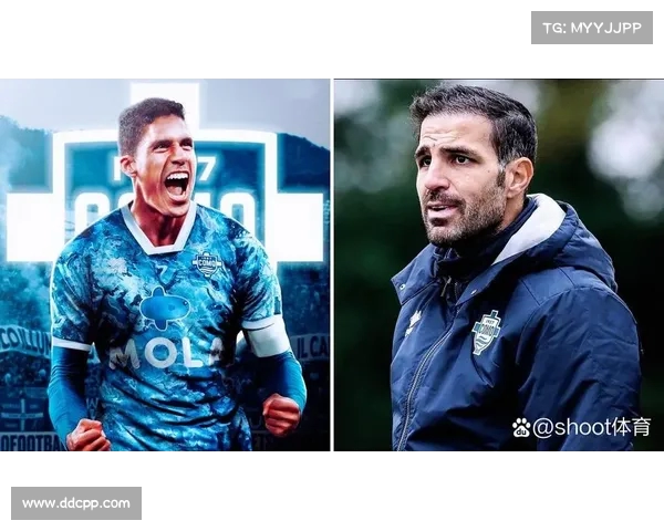 罗马诺:科莫考虑引进达文森桑切斯 斯塔费尔特是另一备选人 罗马诺:科莫考虑引进达文森桑切斯 斯塔费尔特是另一备选人